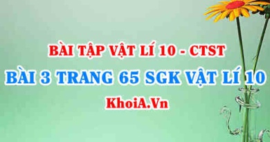Bài 3 trang 65 SGK Vật lí 10 Chân trời sáng tạo